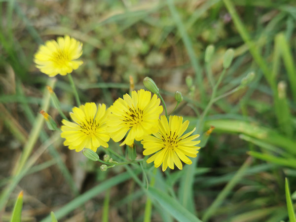 試驗臺的種類有哪些？